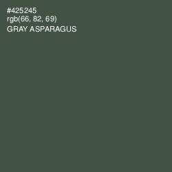 #425245 - Gray Asparagus Color Image